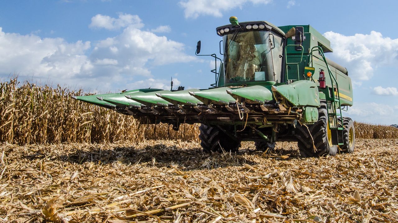 TERRA - Agribusiness & Transformation