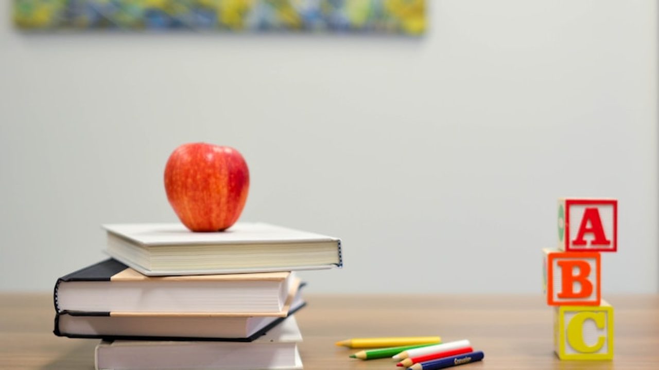Anglais Professionnel + Preparation TOEFL/IELTS