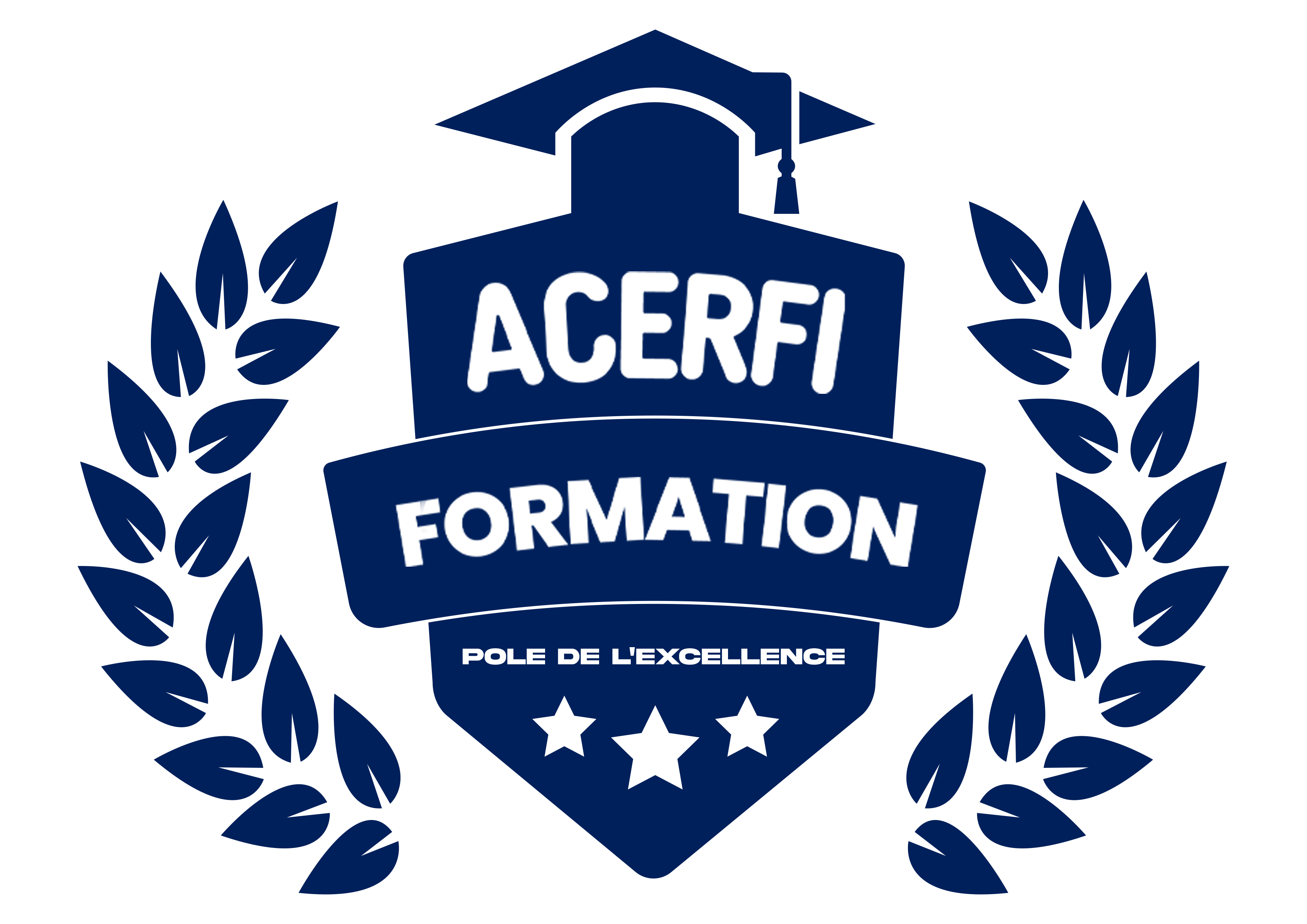 ACERFI Formation